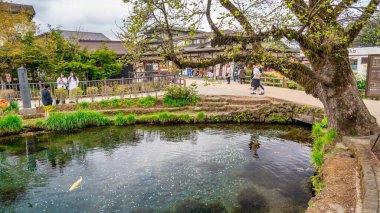 Oshino Hakkai, Japonya - 26 Nisan 2025: Oshino Hakkai 'deki geleneksel köy atmosferi.