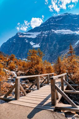 Jasper Ulusal Parkı 'ndaki Edith Cavell Gölü, Rocky Dağları ile çevrili..