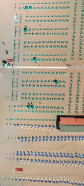 Yüksek açılı panorama, deniz kıyısındaki organize plaj düzenlemelerini ve eğlence alanlarını gösteriyor..