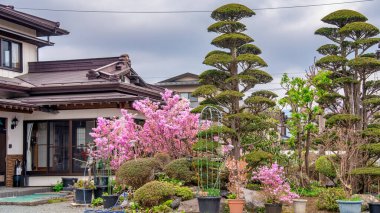 Japonya 'nın Oshino Hakkai kentinin temiz sularda ve Mt. Fuji yakında..