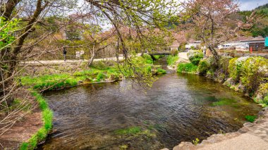 Geleneksel Japon evleri ve kristal berrak bahar havuzlarıyla Oshino Hakkai 'nin huzurlu manzarası.