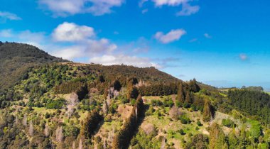 Yeni Zelanda 'da doğal güzelliklerle çevrili sık ormanların kuş bakışı perspektifi. 