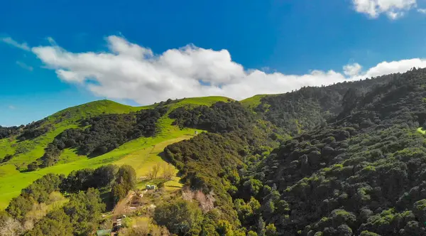 Yeni Zelanda ormanlarının hava manzarası yemyeşil ve yuvarlanan tepeleri gösteriyor..