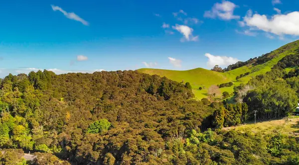Yeni Zelanda ormanlarının hava manzarası yemyeşil ve yuvarlanan tepeleri gösteriyor..