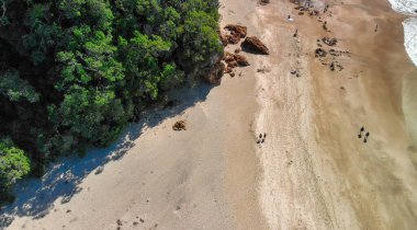 Sıcak Su Sahili, Yeni Zelanda 'nın kuş bakışı perspektifi doğal güzelliğini gözler önüne seriyor.. 