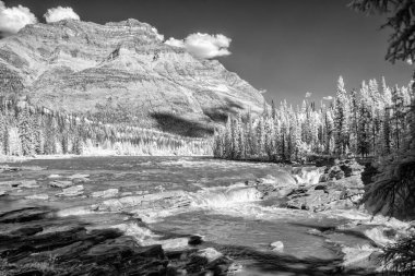 Buzullar Parkway 'de kızılötesi manzaralar, Kanada Kayalıkları.