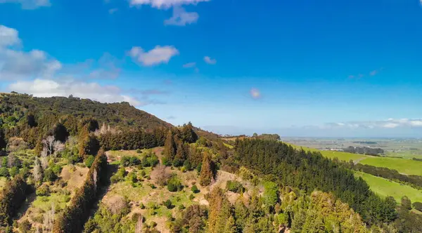Yeni Zelanda 'da doğal güzelliklerle çevrili sık ormanların kuş bakışı perspektifi. 