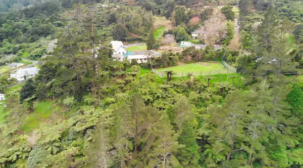 Yeni Zelanda 'daki Karangahake Boğazı' nın hava manzarası kıvrımlı nehri ve yemyeşil manzarayı gösteriyor..