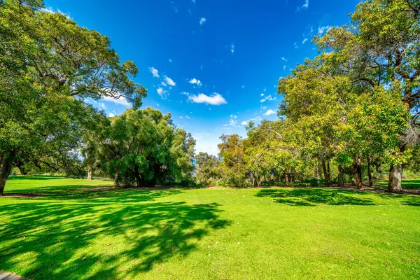 Kings Park güzel bir günde, Perth.