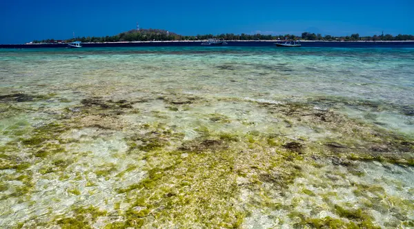 Gili Meno 'nun göz kamaştırıcı berrak suları, yüzmek ve şnorkelle yüzmek için mükemmel..
