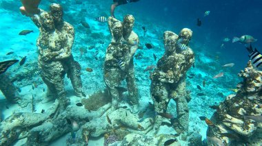 Gili Meno dalış sahasında canlı balıklar ile Bask Nest sualtı sanat kurulumu.