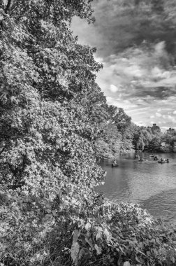 Central Park, NYC 'de Sonbahar Renkleri Güzel Yeşilliklerle çevrili.