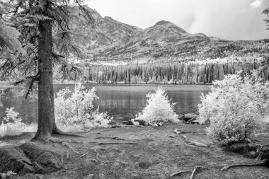 Jasper Ulusal Parkı doğa ve görkemli dağ manzaralarının muhteşem kızılötesi görüntüsü. 