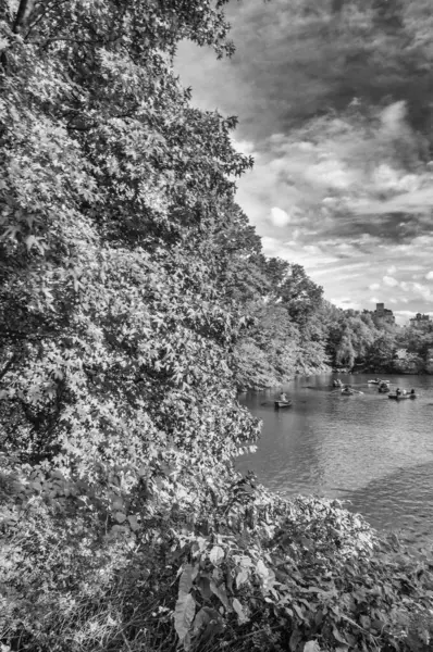 Central Park, NYC 'de Sonbahar Renkleri Güzel Yeşilliklerle çevrili.