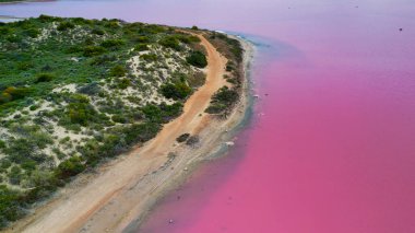 Hutt Gölü 'nün havadan görünüşü, Batı Avustralya, Port Gregory' deki büyüleyici pembe göl..