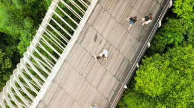 Henderson Köprüsü 'nün Singapur' daki havadan görüntüsü..