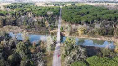 San Rossore 'ın Toskana, İtalya' daki panoramik hava manzarası, bozulmamış doğa ve vahşi yaşam.