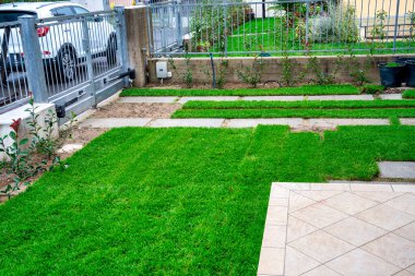 Bir Bahçeye Yeşil Çim ve Açık Hava Güzelliği İçin Çimen Hazırlamak.