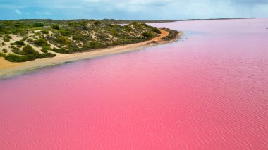 Hutt Gölü 'nün canlı pembe renkleri Batı Avustralya' nın doğal harikalarından biri olan yukarıdan çekildi..