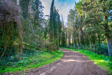 Volterra 'nın Terk Edilmiş Tımarhanesi' nin Hayaletli Görüntüleri: Karanlık Geçmişine Bir Bakış.