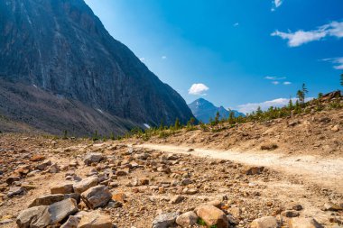 Sahne Edith Cavell Gölü, Jasper Ulusal Parkı, Alberta, Kanada.