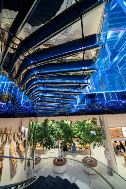 New York City, New York - 14 Haziran 2025: Modern minimalist tasarım ve parlak ortam aydınlatması ile gece yarısı Apple Store 5..