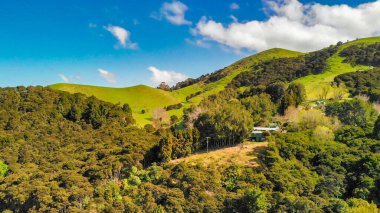 Yeni Zelanda ormanlarının hava manzarası yemyeşil ve yuvarlanan tepeleri gösteriyor..