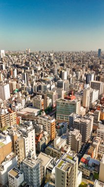 Tokyo şehrinin hava panoramik manzarası modern binalar ve kentsel yayılımla gökyüzüne yükseliyor.