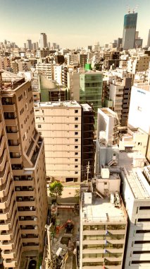 Tokyo şehrinin hava panoramik manzarası modern binalar ve kentsel yayılımla gökyüzüne yükseliyor.