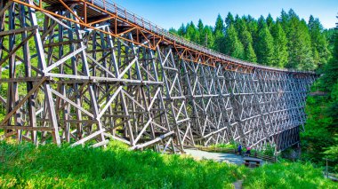 Vancouver Adası 'ndaki Kinsol Trestle Köprüsü' nün muhteşem manzarası - Kanada