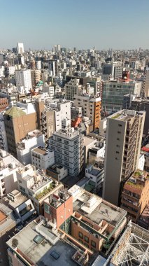 Tokyo şehrinin hava panoramik manzarası modern binalar ve kentsel yayılımla gökyüzüne yükseliyor.