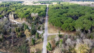 San Rossore 'ın panoramik hava manzarası, Pisa, uçsuz bucaksız doğa ve kıyı güzelliğiyle.