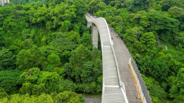 Henderson Köprüsü 'nün Singapur' daki havadan görüntüsü..