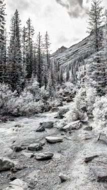 Louise Gölü 'nün kızılötesi manzarası, çarpıcı dağ manzarası ve yaz atmosferi..