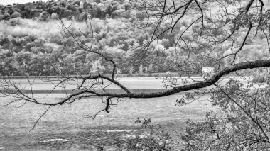 Ormanda bir göl, sonbahar yaprakları mevsimi.