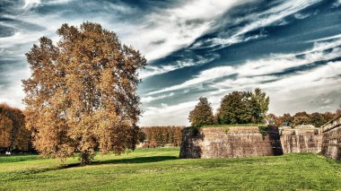 Lucca 'nın Ağaçları ve Sonbahar Renkleri - İtalya.