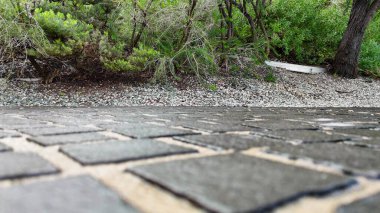 Boş park yolu kaldırımı, doğa geçmişi ve sabahları huzurlu bir atmosferi var..