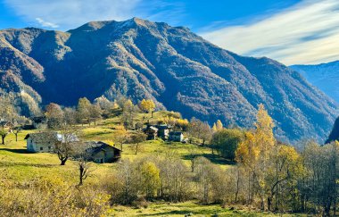 Bir fındık, suya girmeye hazırlanırken kısmen sular altında kalan çimenli bir nehir kıyısının kenarında oturur. Görüntü, bitki örtüsü ve sakin sularla çevrili hayvanların doğal yaşam alanlarını vurgular..