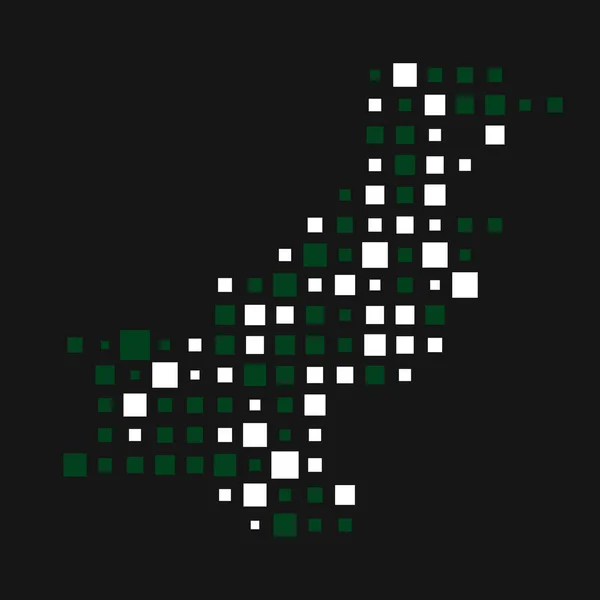 Pakistan Silhouette Pixelated Pattern Illustration — Stock Vector