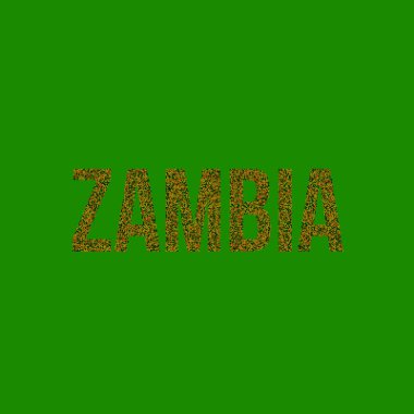 Zambiya Silueti Pikselli desen haritası çizimi