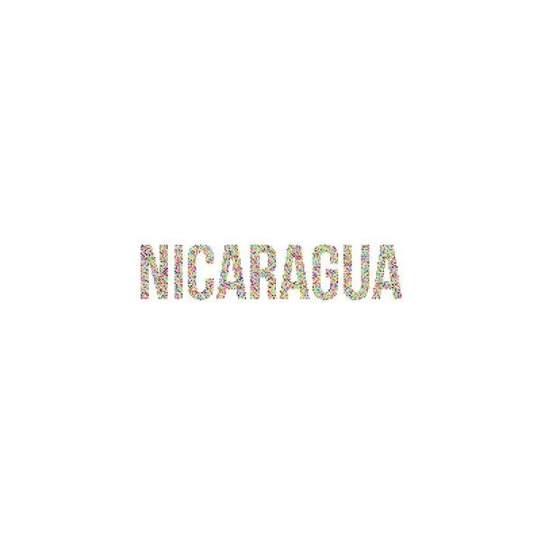 Nicaragua Silhouette Ilustración Mapa Patrón Pixelado — Archivo Imágenes Vectoriales