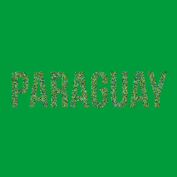 Paraguay Silhouette Pixelated Modello Mappa Illustrazione — Vettoriale Stock