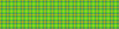 Dekoratif tartan karo desen çizimi