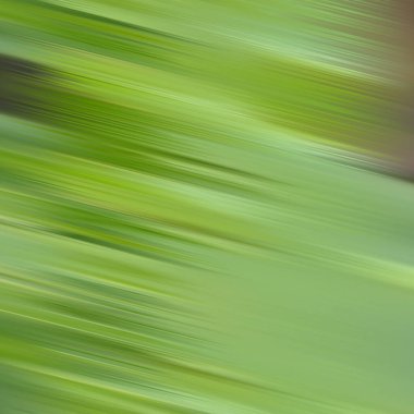 Color flix intro animation style illustration