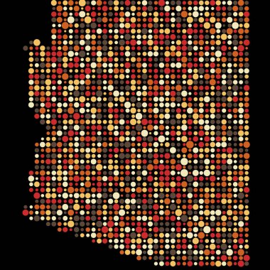 Arizona Silueti Pikselli desen haritası çizimi