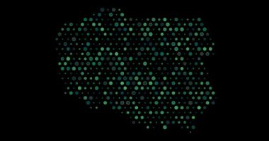 Polonya Üretici Çember Ağ Tasarımı