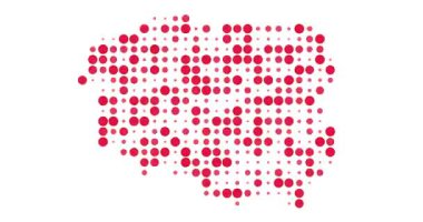 Polonya Üretici Çember Ağ Tasarımı