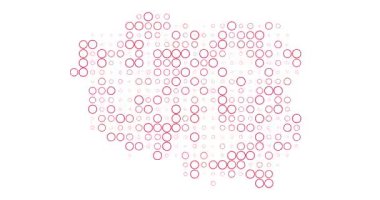 Pulsing Digital Poland Haritalama Canlandırması