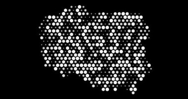 Polonya Haritası Renkli Çember Izgarası