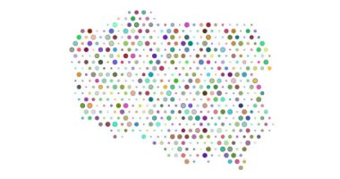 Polonya Üretici Çember Ağ Tasarımı